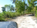 DSC 0466