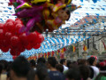DSC 0428
