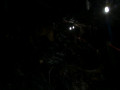 DSC 0301