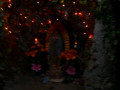 DSC 0328