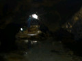 DSC 0336