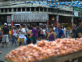 DSC 0414