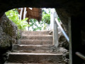 DSC 0355