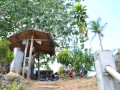 DSC 0358