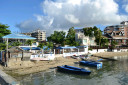 DSC 0008