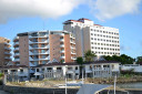DSC 0021
