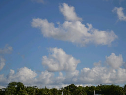 DSC 0063