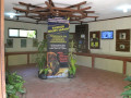 DSC 0414
