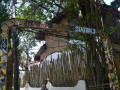DSC 0205