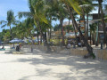 DSC 0224