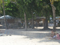 DSC 0253