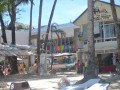 DSC 0384