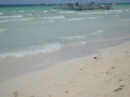 DSC 0420