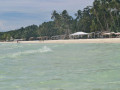 DSC 0513