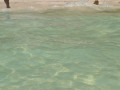 DSC 0518