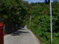 DSC 0605