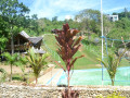 DSC 0607