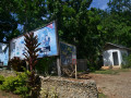 DSC 0608