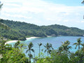 DSC 0611