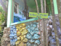DSC 0626