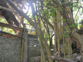 DSC 0633