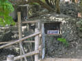 DSC 0673