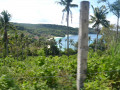 DSC 0679