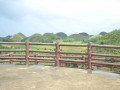 DSC 0184