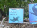DSC 0269