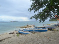 DSC 0298