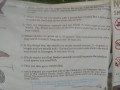 DSC 0315