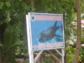 DSC 0319