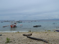 DSC 0864