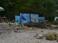 DSC 0866
