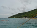 DSC 0884