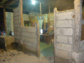 P1000973