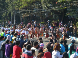 DSC 0202