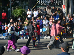 DSC 0208