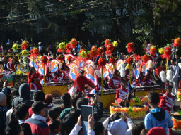 DSC 0242
