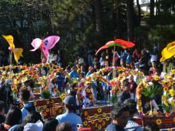 DSC 0251