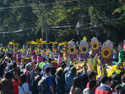 DSC 0263