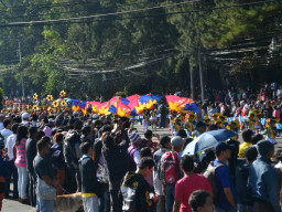 DSC 0266