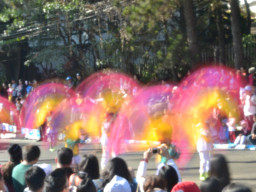 DSC 0267