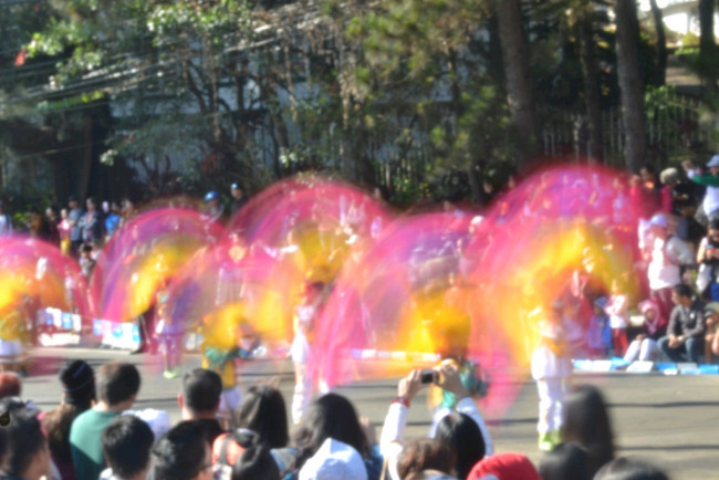 DSC 0267