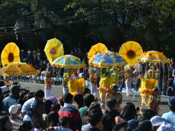 DSC 0288