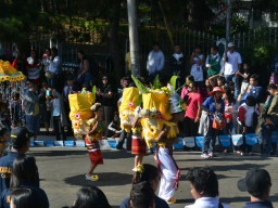 DSC 0289