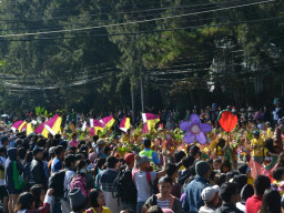 DSC 0307