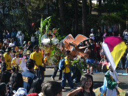 DSC 0311