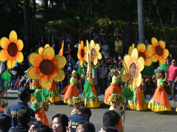 DSC 0331