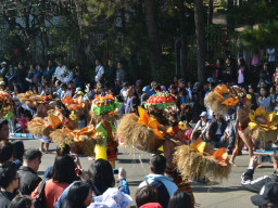 DSC 0343